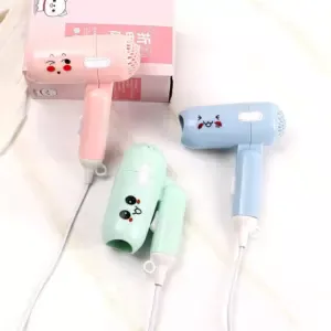Portable Hair Dryer 2 টি